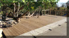 John Rhinowood deck and Balustrade 1.jpg (397747 bytes)