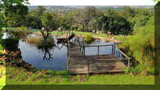 RedIronbark Pond Deck Mooikloof 1.jpg (431657 bytes)